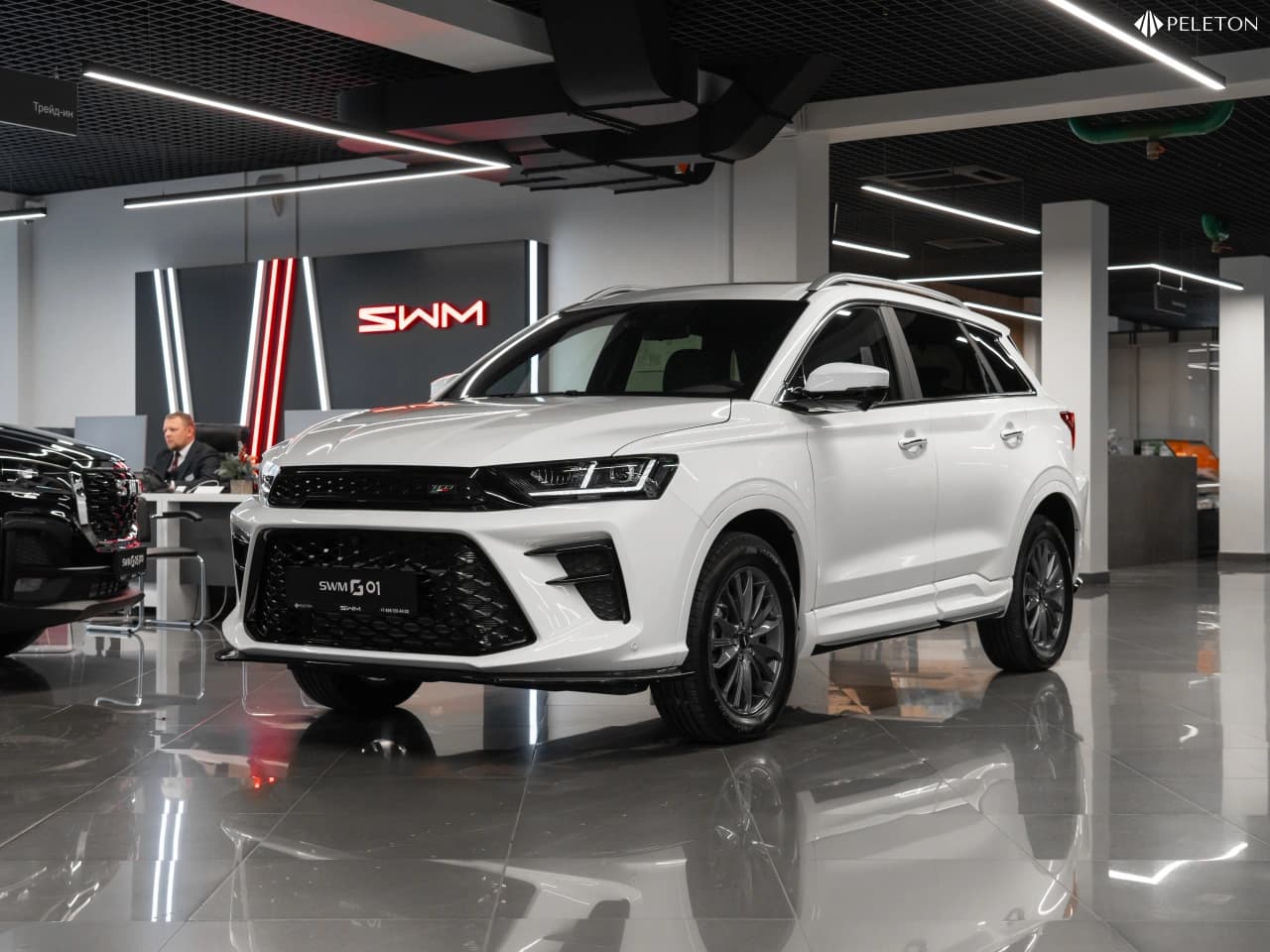 SWM G01F